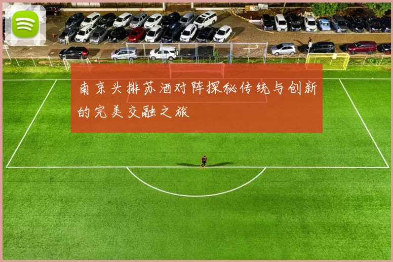 南京头排苏酒对阵探秘传统与创新的完美交融之旅