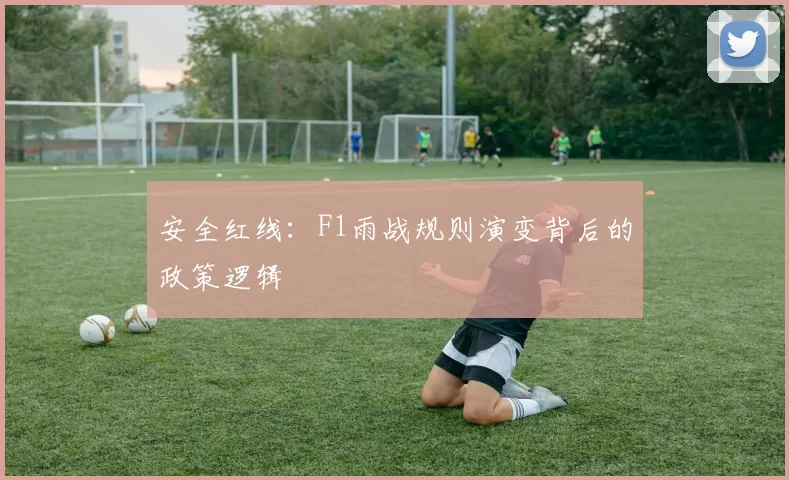 安全红线：F1雨战规则演变背后的政策逻辑