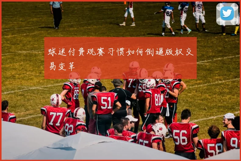 球迷付费观赛习惯如何倒逼版权交易变革
