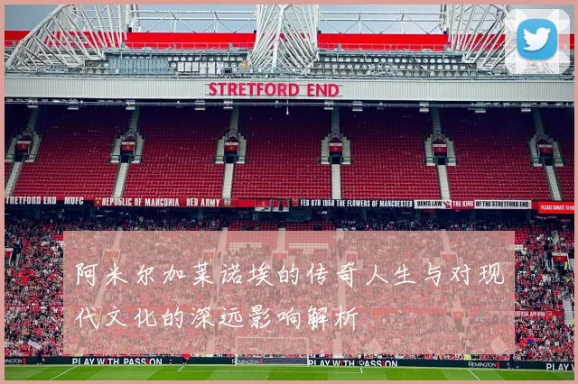 阿米尔加莱诺埃的传奇人生与对现代文化的深远影响解析