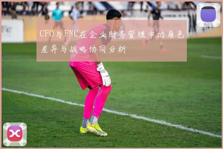 CFO与FNC在企业财务管理中的角色差异与战略协同分析