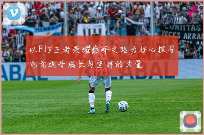 以Fly王者荣耀巅峰之路为核心探寻电竞选手成长与坚持的力量